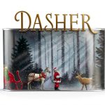 Dasher Childrens Book Candlewick Press Illustrated Series-0
