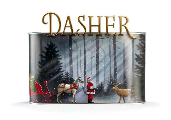 Dasher Childrens Book Candlewick Press Illustrated Series-0
