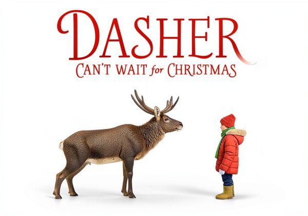 Dasher Series Childrens Book Candlewick Press Friendship-0