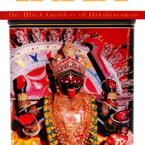 Nicolas Hays New Age Reference Hinduism Kindle Book-0