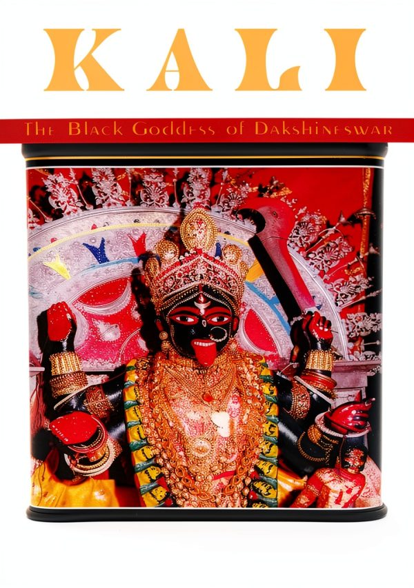 Nicolas Hays New Age Reference Hinduism Kindle Book-0